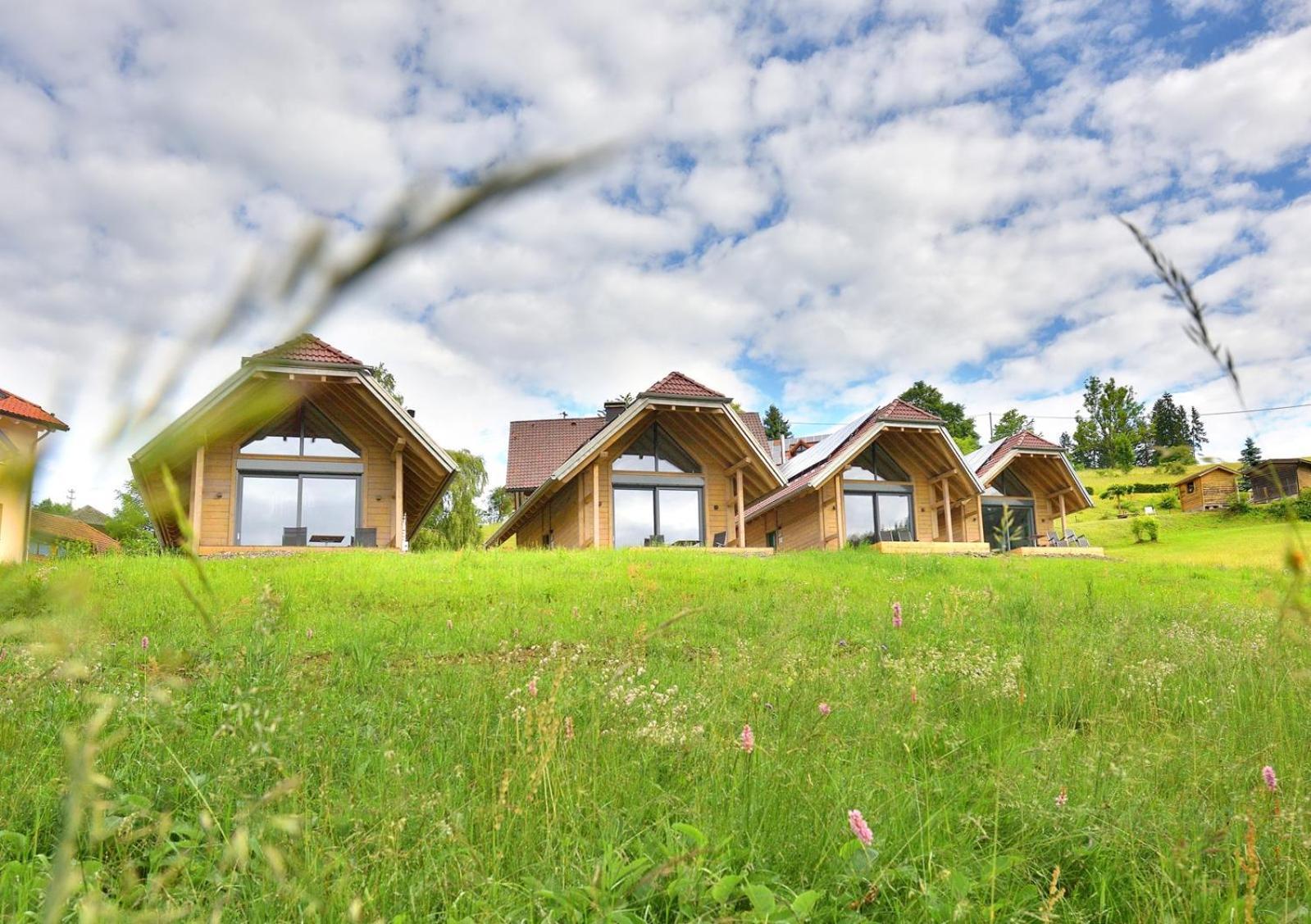 Chalets Am Roessle Todtmoos Exteriér fotografie